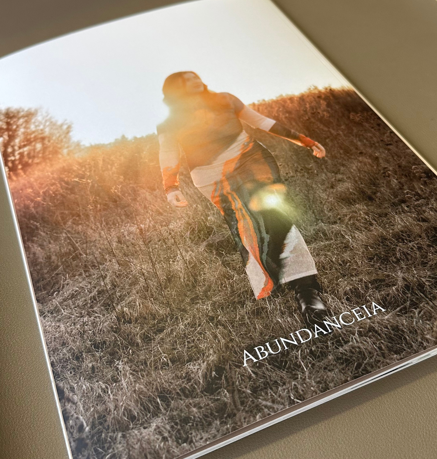 Dein Bewusstseins-Leitfaden für mehr Klarheit & positive Gedanken