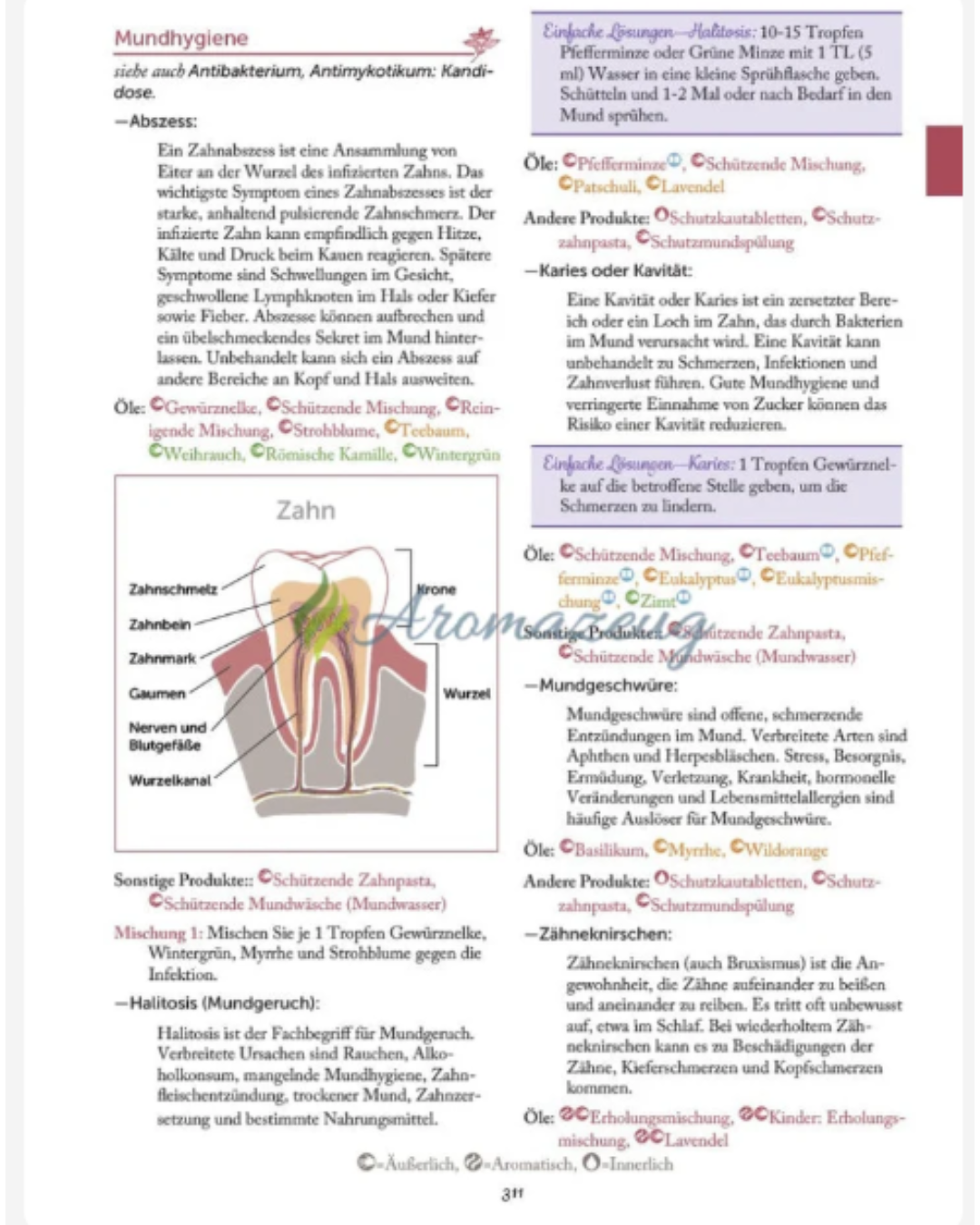 Modern Essentials Handbuch – Leitfaden für ätherische Öle | 15. Ausgabe Deutsch